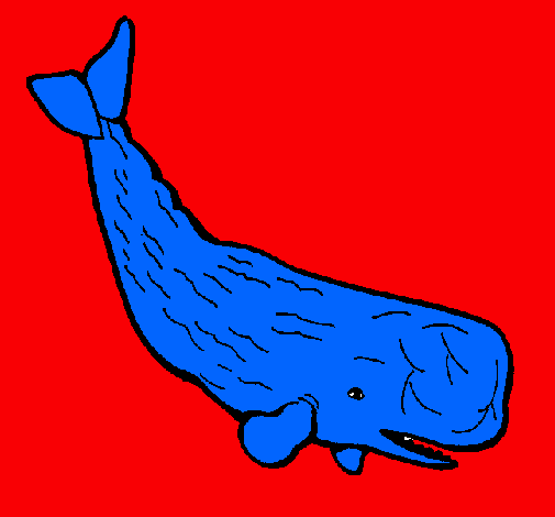 Ballena grande