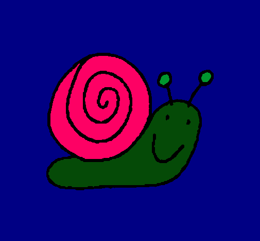 Caracol 4