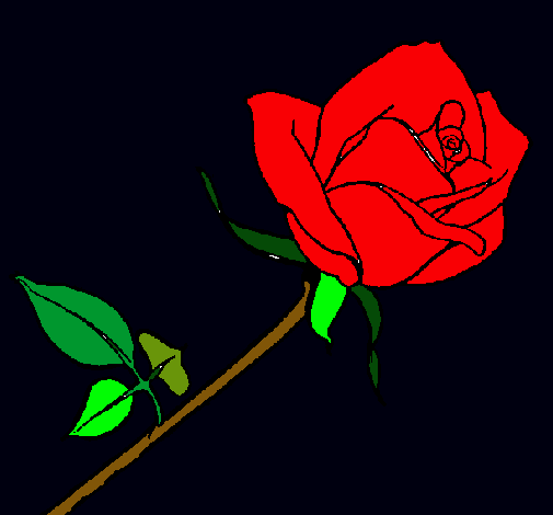 Dibujo Rosa pintado por yalla