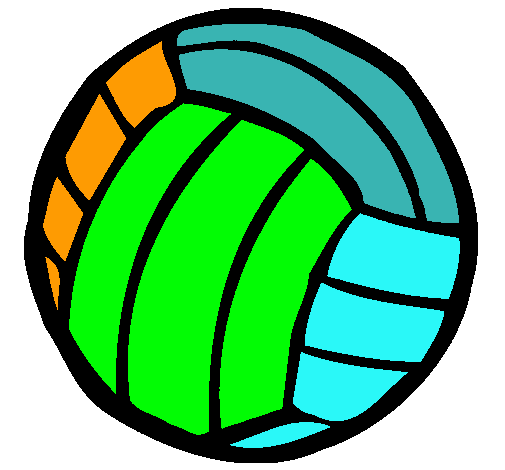 Pelota de voleibol