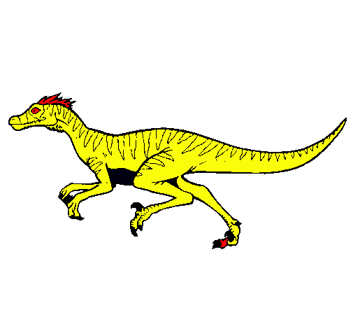 Velociraptor