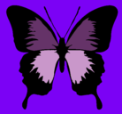 Dibujo Mariposa con alas negras pintado por meli3003