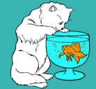 Dibujo Gato mirando al pez pintado por lolaisa