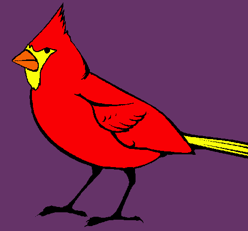 Cardinal