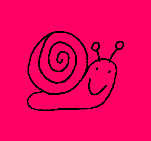 Caracol 4