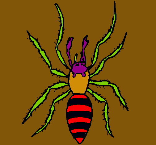 Araña tigre