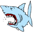 Dibujo Tiburón pintado por rddredde