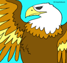 Dibujo Águila Imperial Romana pintado por jgunggvft