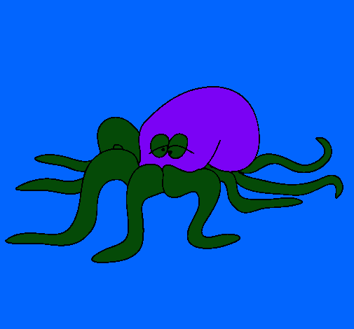 Pulpo