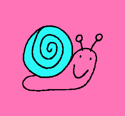 Caracol 4