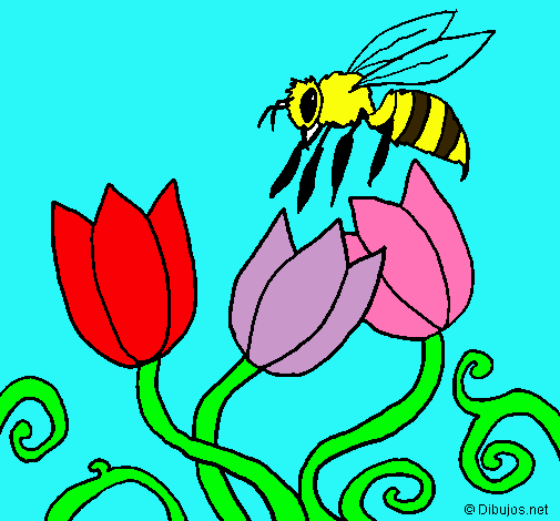 Abeja