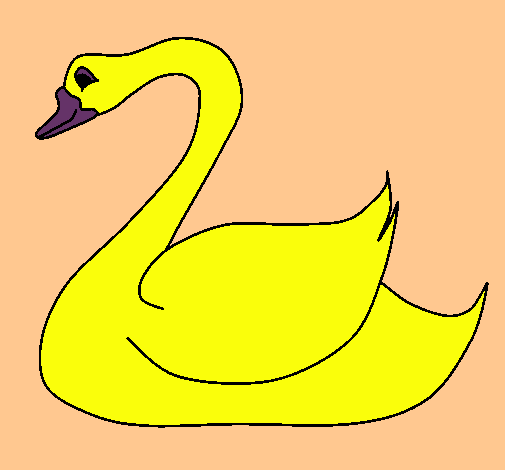 Cisne