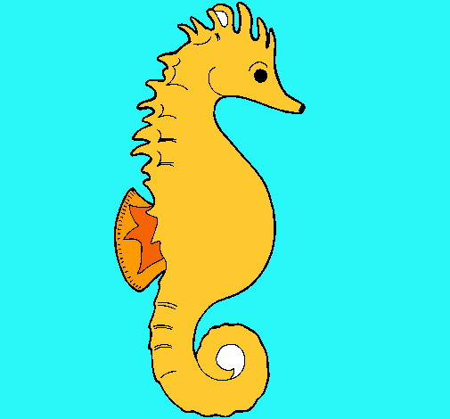 Caballito de mar