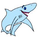 Dibujo Tiburón alegre pintado por chica-estrel