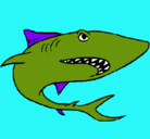 Dibujo Tiburón pintado por vale-19