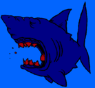 Dibujo Tiburón pintado por piky