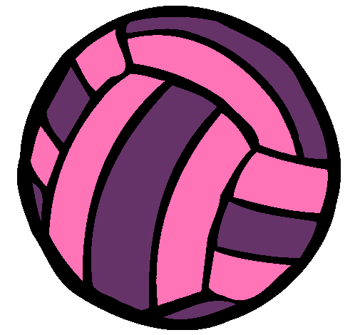 Pelota de voleibol