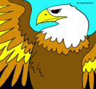 Dibujo Águila Imperial Romana pintado por Roxera