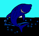 Dibujo Tiburón pintado por reydeloseano