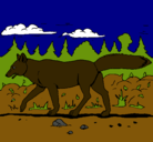 Dibujo Coyote pintado por Charlot