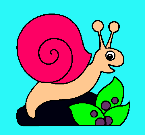 Caracol