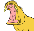 Dibujo Hipopótamo con la boca abierta pintado por gtyuiopasdfg