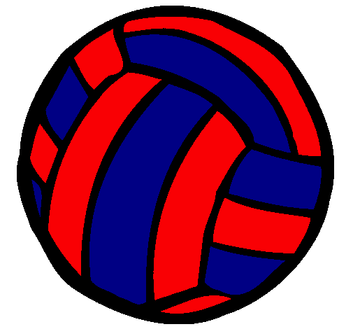 Pelota de voleibol