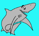 Dibujo Tiburón alegre pintado por yaolt