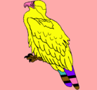 Dibujo Águila pintado por DESCHI