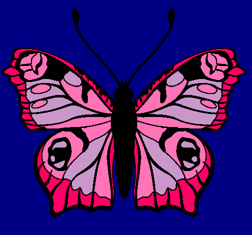 Mariposa 