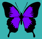 Dibujo Mariposa con alas negras pintado por violeta_1000
