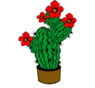 Dibujo Flores de cactus pintado por Floresss