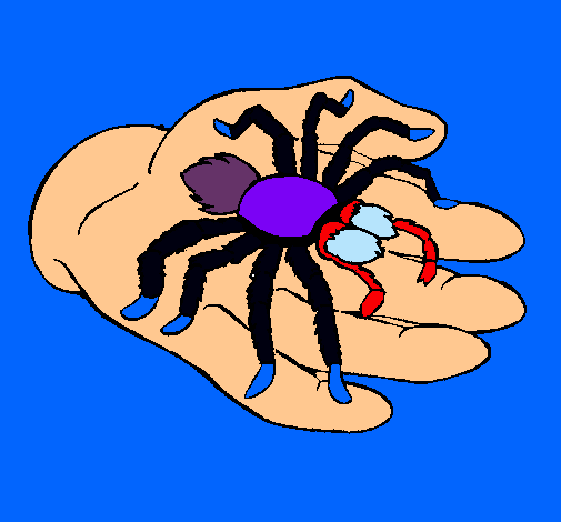 Tarántula