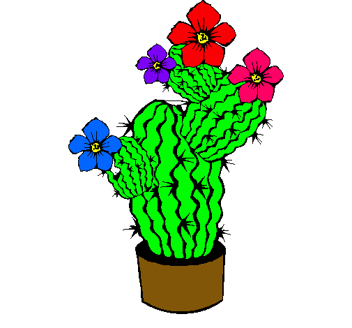 Flores de cactus