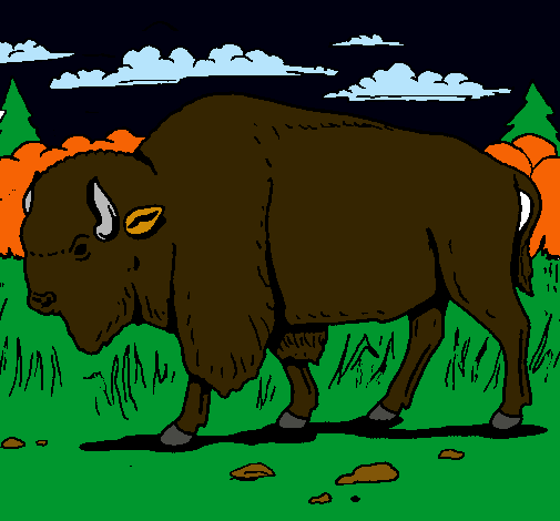 Dibujo Búfalo  pintado por ashleyy