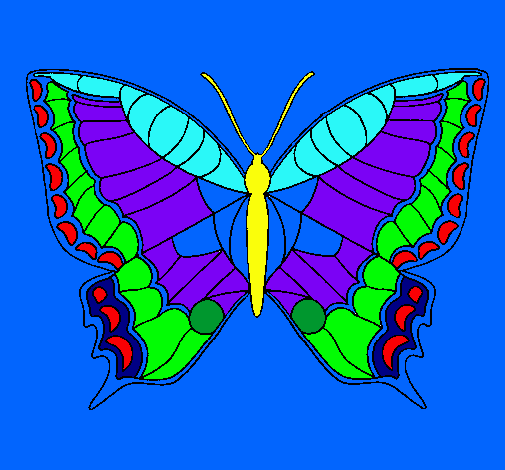 Mariposa