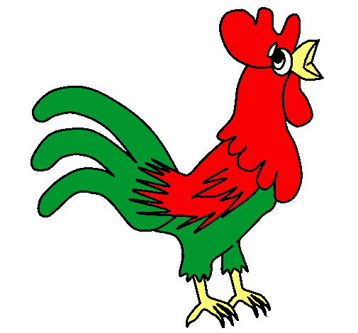 Gallo