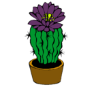 Dibujo Cactus con flor pintado por Cactus
