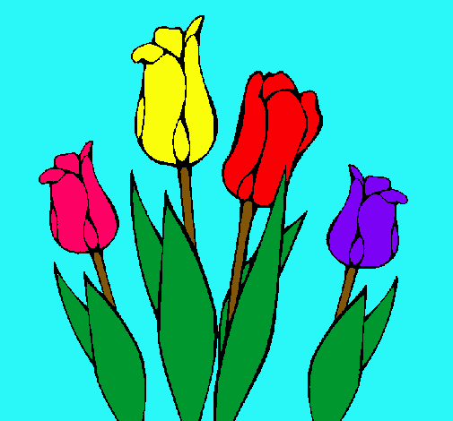 Tulipanes