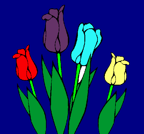 Tulipanes