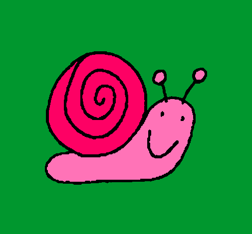 Caracol 4