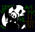 Dibujo Mama panda pintado por patito_desi