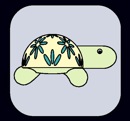 Tortuga 4