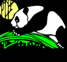 Dibujo Oso panda comiendo pintado por rodrigues 