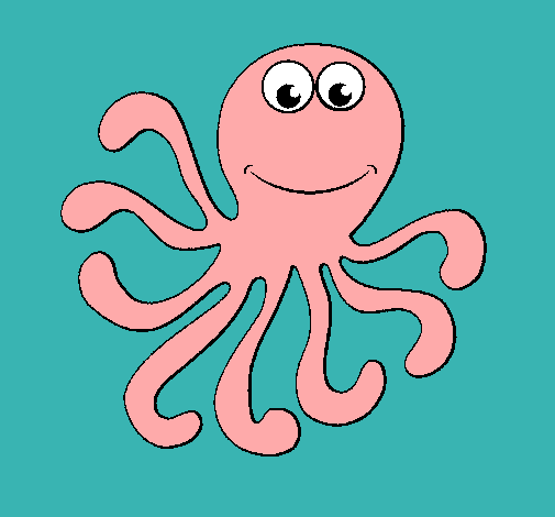 Pulpo 2