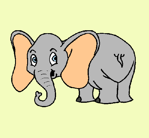 Elefante pequeño