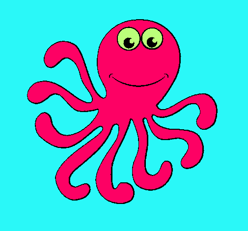 Pulpo 2