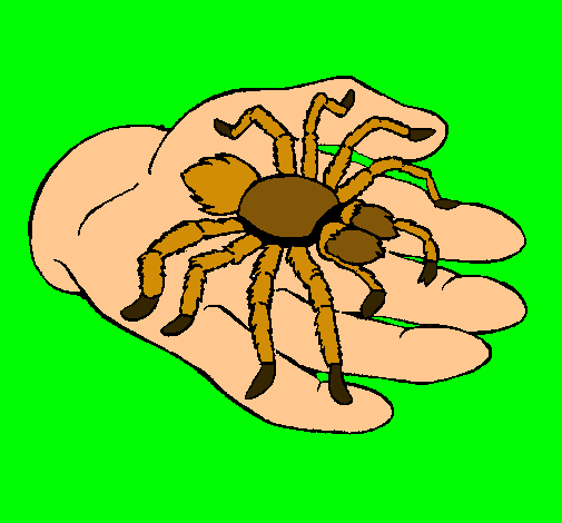 Tarántula