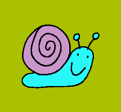 Caracol 4