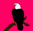 Dibujo Águila en una rama pintado por vickita